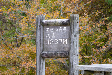 秋の茶臼山高原