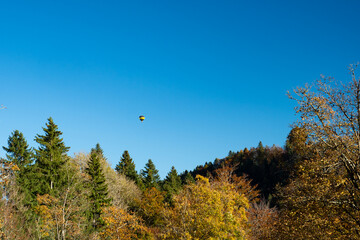 A hot-air ballon over the autumnal forests and hills of Cantone Zurich