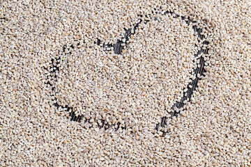 pearl barley for cooking porridge, made from barley