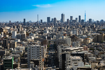Fototapeta premium 練馬区役所から池袋方面の遠景、スカイツリーも