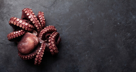 Obraz na płótnie Canvas Tasty octopus on black background