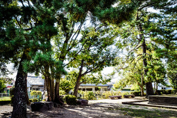 伊丹廃寺を散策する