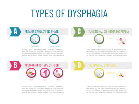 Infographic Type Of Dysphagia: According To The Affected Area, Type Of Food, Functional Or Mechanical.