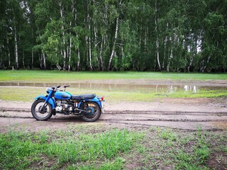 Bike_Forest