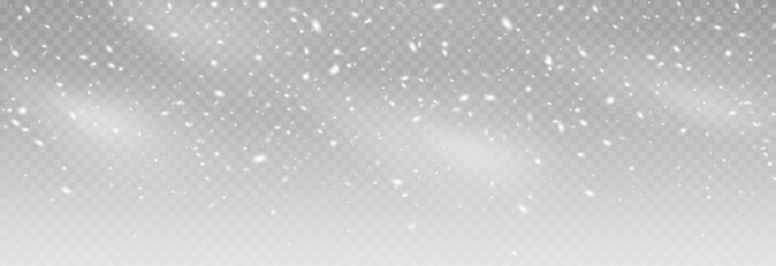 Fototapeta Vector snow. Snow on an isolated transparent background. Snowfall, blizzard, winter, snowflakes. Christmas image. obraz