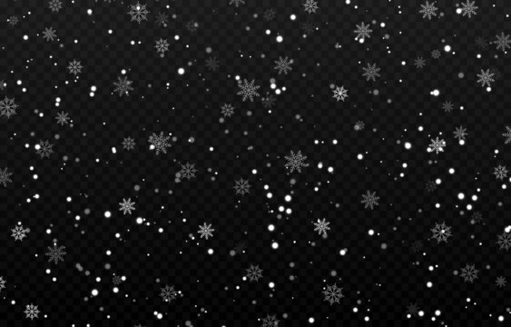Vector snow. Snow on an isolated transparent background. Snowfall, blizzard, winter, snowflakes. Christmas image.