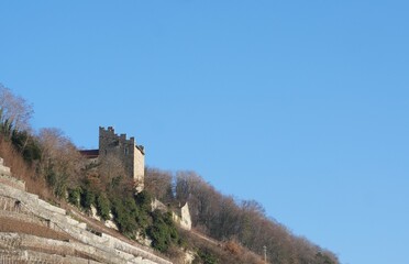 Fototapeta premium Paysages du Lavaux (Suisse)