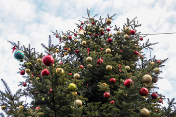 großer geschmückter weihnachtsbaum im freien