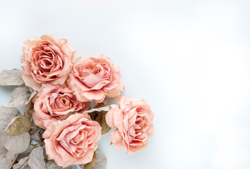 Flowers composition. Bouquet of pink roses in pastel colors. Flatlay.
