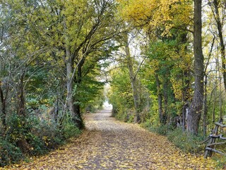 naturaleza