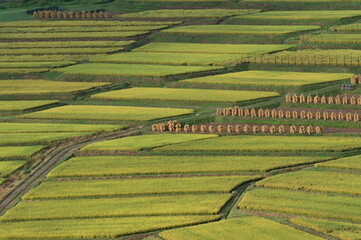 日本の棚田