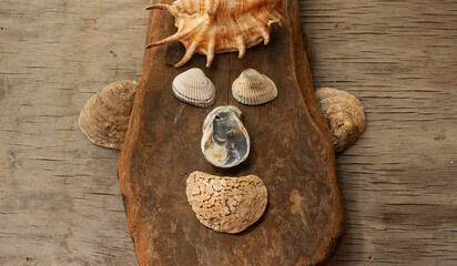 panel in the form of a mask of seashells on a piece of tree bark