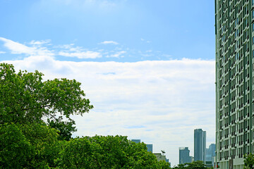 Obraz premium White Stratocumulus Clouds Spread Across Blue Sky over Skyscrapers