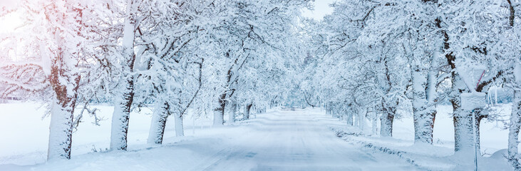 Road covered by snow in snowy morning