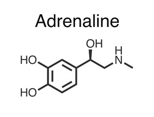 Vector illustration of adrenaline molecule. - obrazy, fototapety, plakaty