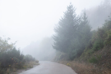 Road to nowhere with fog in a Autumn landscape 