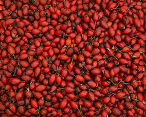 Rosehip berries. Background of fruits.