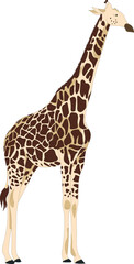 Vector giraffe clipart.
Safari animal cutout, isolated hand drawn giraffe.