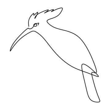 recommend clip art: Perching Hoopoe Bird continuous one line drawing. simple single line hand drawn style animal.