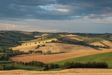 Fototapeta premium Prov. Ancona. Strada Vencareto. Terre Roverasche. Panorama agricolo delle colline in estate 