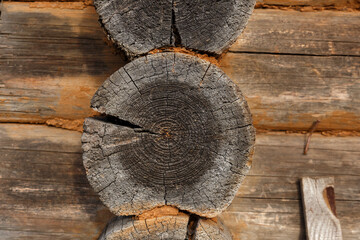 Wooden wall of logs. Old cut logs. Texture wood.