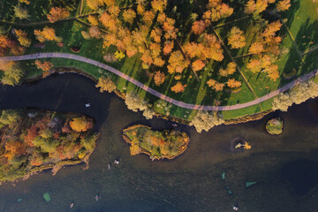 drone view of autumn trees and lakes. beautiful autumn background. view from above