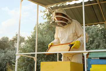 Beekeeper in uniform with honey frame at apiary