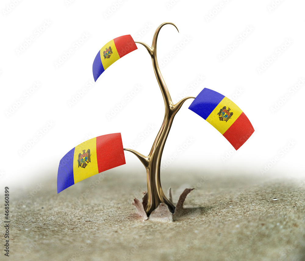 Poster 3d sprout with moldavian flag on white (clipping path included)