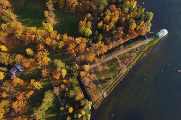 drone view of autumn trees and lakes. beautiful autumn background. view from above