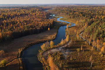 the view from the drone of the autumn trees and the bending river. beautiful autumn background....