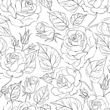 Seamless pattern from flowers of roses on a white background.