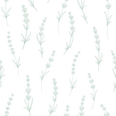 Seamless pattern from flowers of lavender on a white background.