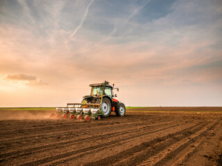 Tractor drilling seeding crops at farm field. Agricultural activity. - obrazy, fototapety, plakaty