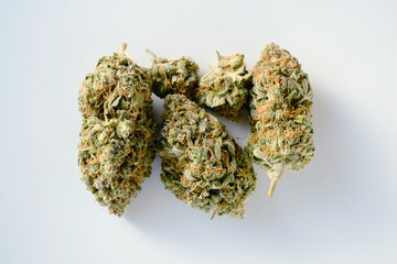 Layout of cannabis buds, macro view. Medicinal marijuana blooms with trichomes isolated on white...