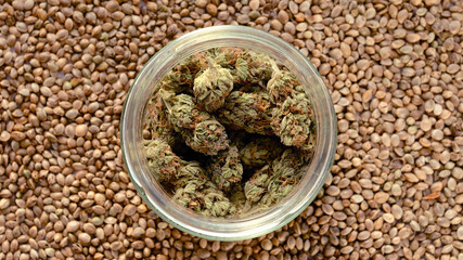 Marijuana products, drying trimmed buds in a jar. Medicinal weed stuff. Cannabis seeds background. CBD recreation, medical usage, hemp therapy.