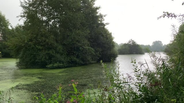 Heavy rainfall during a summer day at the Tichelgaten in Herxen in Overijssel, Netherlands