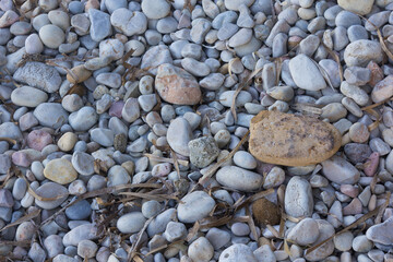 Stones on the shore of the beach