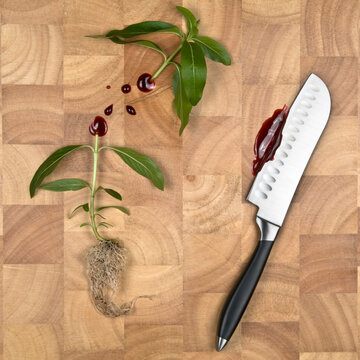 concept image of plant cut in half on chopping board with Knife and blood