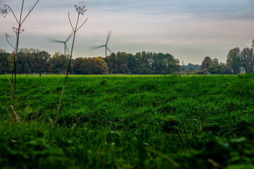 Countryside landscape, Typical Dutch polder with flat and low land, Green meadow and wind turbines,...