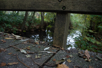 Countryside landscape, Typical Dutch polder with flat and low land, Green meadow and wooden bridge, Small canal or ditch on the field along the road, Cronensteyn, Leiden, Netherlands