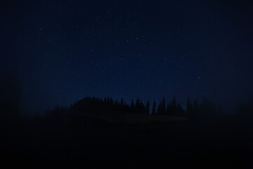 Beautiful view of dark forest under starry sky at night