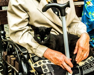 Obraz premium Grandma and the cat