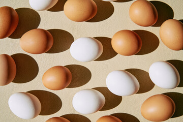 Chicken eggs white and brown background