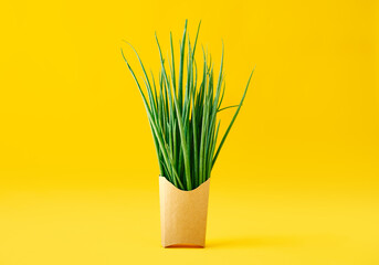 Fresh green onions in fast food paper box on bright yellow background.