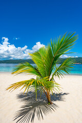 beach island bokardi samana bay