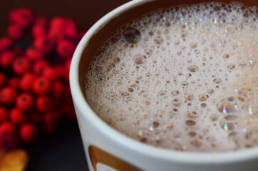 Cocoa and cookies, rowan berries