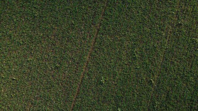 An aerial view of the vast agricultural field in Coburg Bavaria, Germany