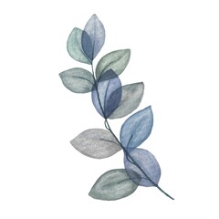 Watercolor stylized translucent leaf branch. Blue and gray transparent leaves, botanical illustration