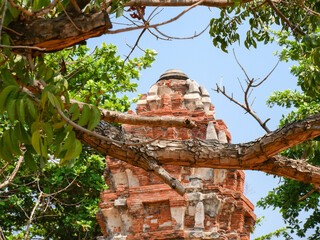 Stupa Ruinen Ayutthaya