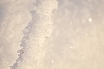 White ice crystals on branches in bright sunlight. Macro photography of ice crystal texture. Snow crystals close-up on a bright frosty winter day. White sparkling snow surface close up.